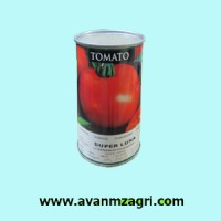 بذر گوجه سوپر لونا مدستو آمریکا