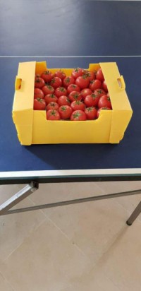 جعبه گوجه فرنگی