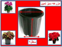 گلدان پلاستیکی سطل 7