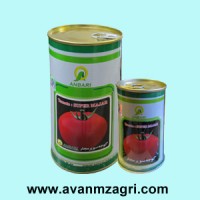 بذر گوجه فرنگی سوپر اوربانا۱۰۰ و ۵۰۰ گرمی عنبری