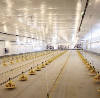 ایزولاسیون سالنهای مرغداری ورق 2 میلی متر 350 گرم
