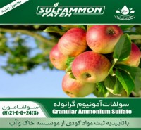 توزیع کود سولفات آمونیوم گرانوله  برای باغ سیب