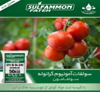فروش کود سولفات آمونیوم گرانوله برای کشت گوجه