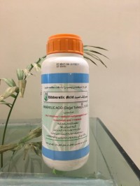 جیبرلیک اسید مگافیل