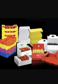 جعبه کارتن پلاست جهت میوه و سبزیجات