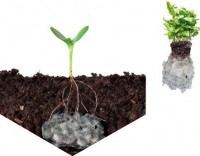 خرید سوپر جاذب خاک