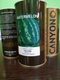 بذر هندوانه فالکون 2020
