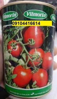 بذر گوجه فرنگی ویلمورین