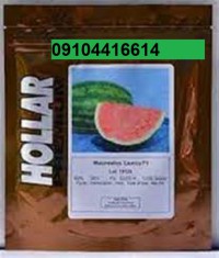 بذر هندوانه هولار