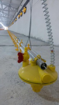 سیستم آبخوری نیپل با لوله گرد به طول 40 متر