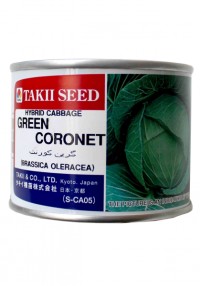 بذر کلم گرین کورنت - تاکی