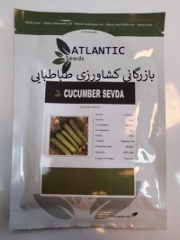 خیار گلخانه‌ای سودا , Cucumber Sevda