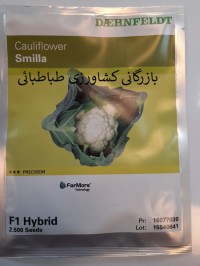 بذر گل کلم هیبرید اسمیلا (Cauliflower Smilla)