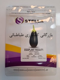 بذر هیبرید بادمجان روکا Eggplant ROCA F1