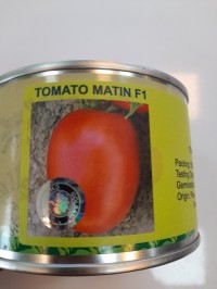 بذر هیبرید گوجه فرنگی متین Tomato MATIN (huizer) F1