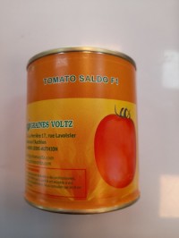 بذر گوجه فرنگی هیبرید سالدو Saldo F1