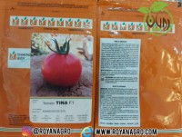 بذر گوجه فرنگی تیوا(تینا) دیاموند سیدز