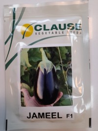 بذر هیبرید بادمجان لامپی جمیل شرکت کلوز JAMEEL F1