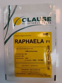 بذر هیبرید بادمجان دلمه ای رافئلا شرکت کلوز RAPHAELA F1