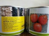 بذر گوجه فرنگی افرا 036