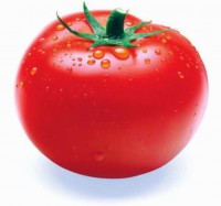 بذر گوجه فرنگی فالکون 4 گرمی