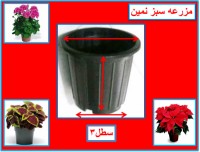 گلدان پلاستیکی سطل 3